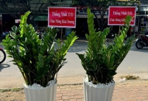 CUNG CẤP CÂY CẢNH ĐỒNG NAI
