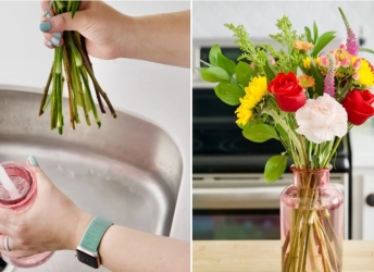Cách Cắm Hoa Tết Nở Đẹp 2 Tuần