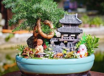 Gợi ý các mẫu cây cảnh mini để bàn đẹp – sang – giá rẻ