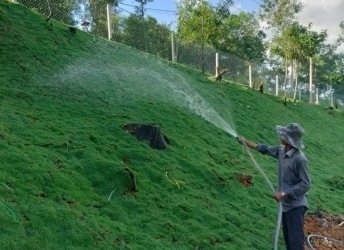 Dịch vụ chăm sóc cây kiểng uy tín chất lượng tại Biên Hòa