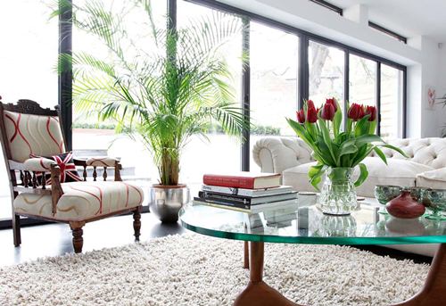 bài trí cây cảnh