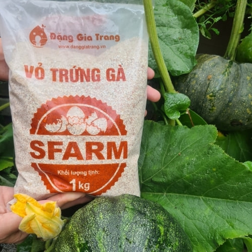 vỏ trứng gà làm phân hữu cơ